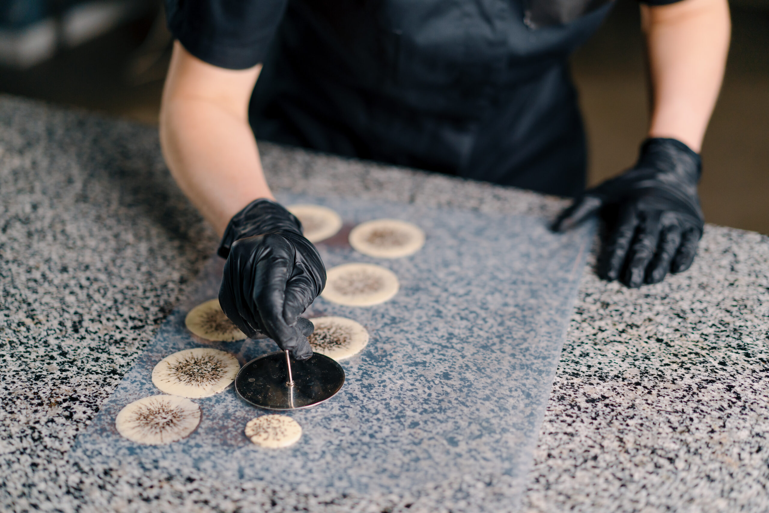kitchen stone countertops philadelphia pa